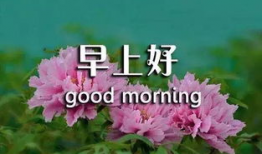 早安晨曲短视频,共赴美好新一天——早安晨曲短视频赏析